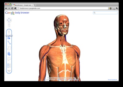 Google Chrome Beta, WebGL, Body Browser